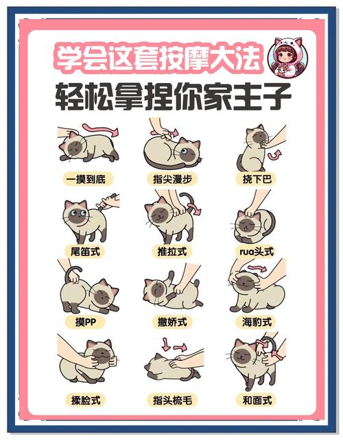 喵喵在哪抓位置选？行家推荐最佳抓喵地点