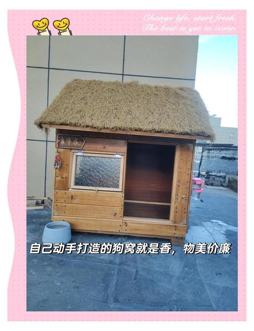 狗窝游戏盒哪里买便宜？省钱小技巧轻松省大钱！
