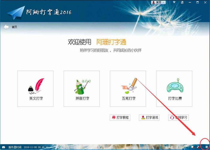 阿珊打字通哪个版本好？免费版和VIP功能对比！