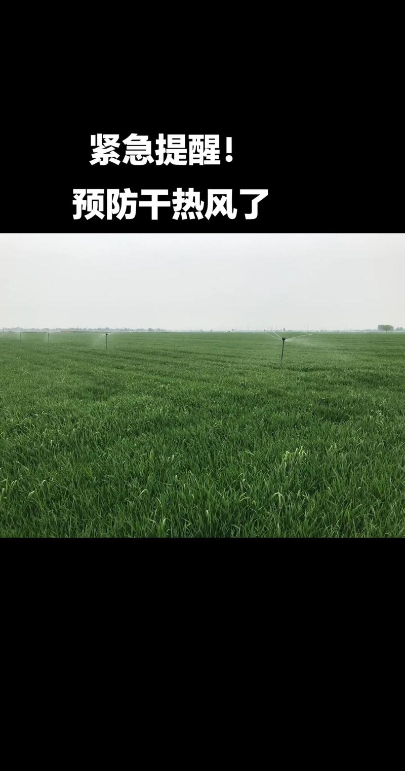 东经热种子如何避免风险？安全下载攻略分享！