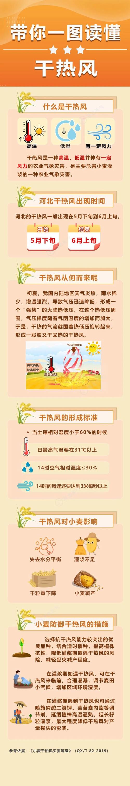 东经热种子如何避免风险？安全下载攻略分享！