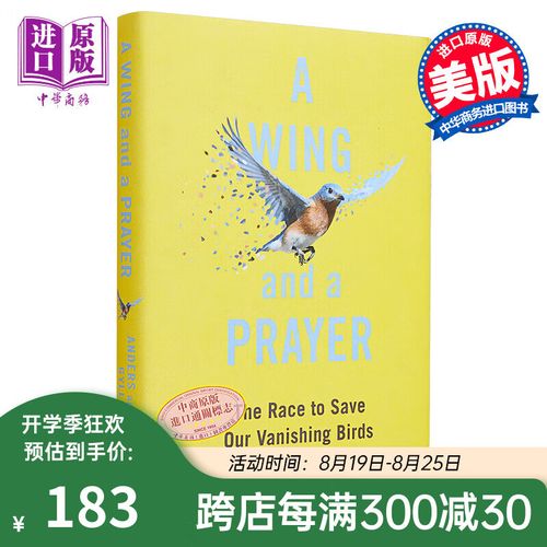 翅膀与祈祷推广技巧？3个方法，提升影响力！