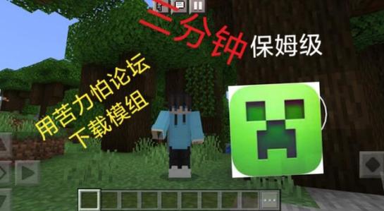 苦力怕论纭哪家好？对比这几家公司帮你选靠谱