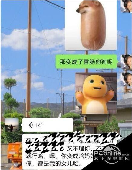 面包狗什么梗?详细解析梗的来源和热门玩法!