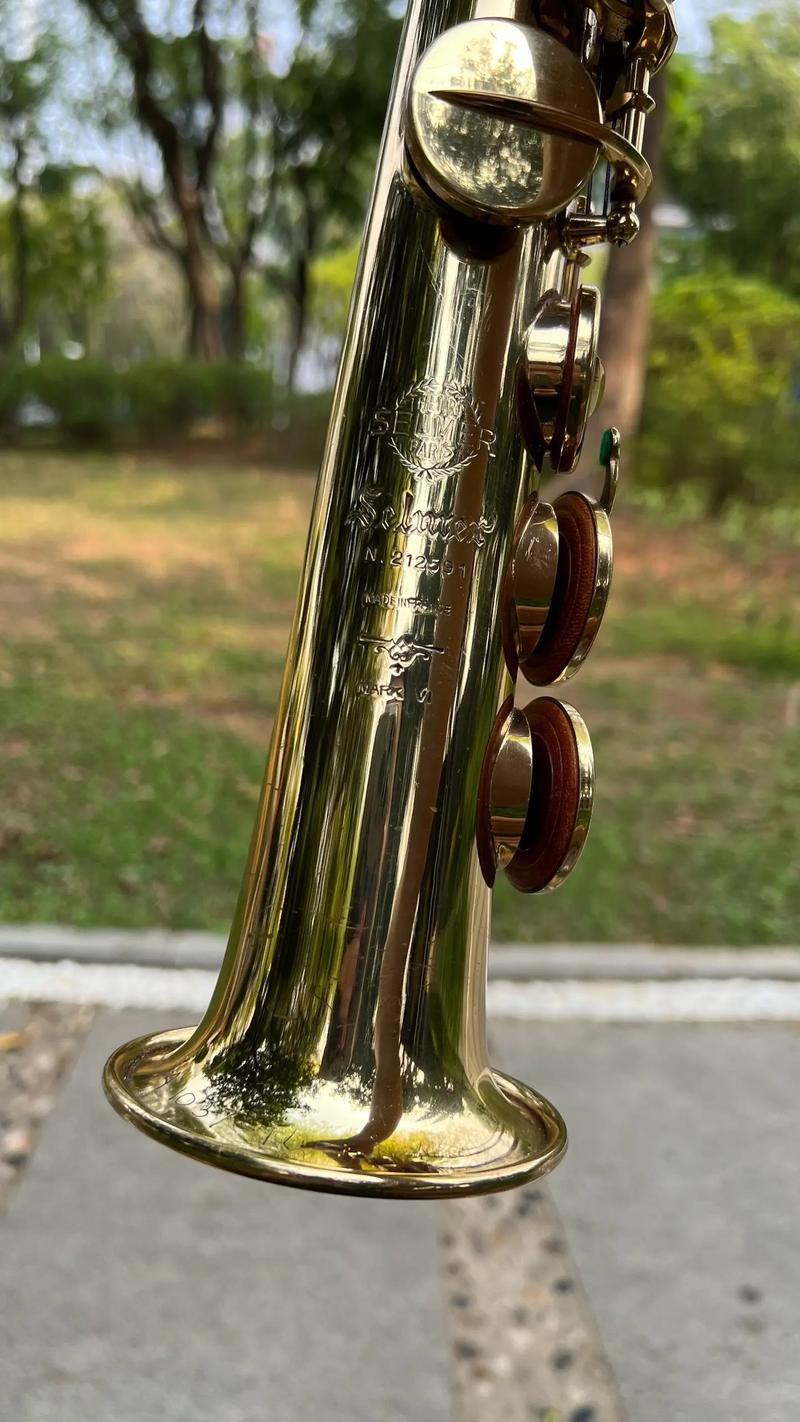 如何高效获取萨尔玛声望？行家分享实战策略！