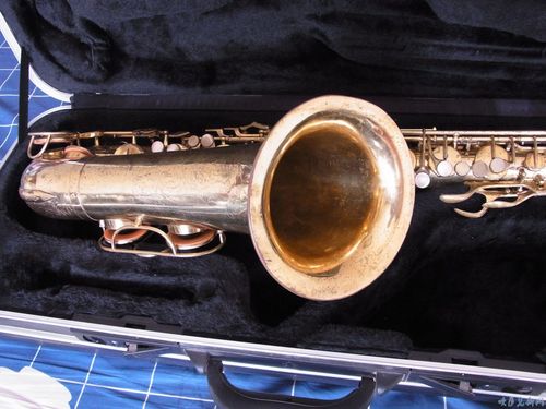 如何高效获取萨尔玛声望？行家分享实战策略！