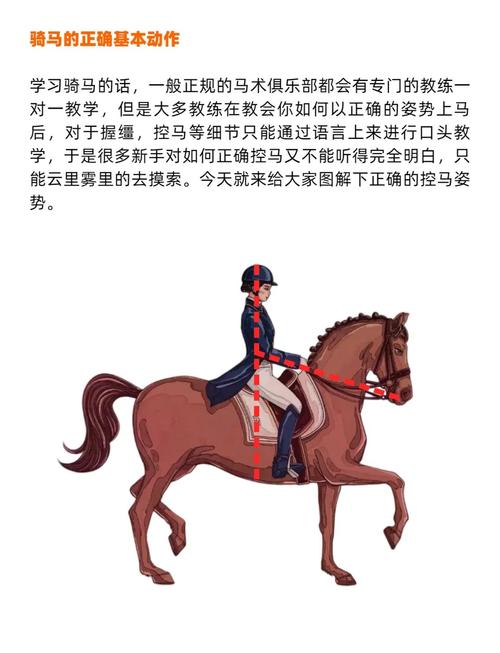 90级骑术怎么学？3个步骤新手快速上手攻略！