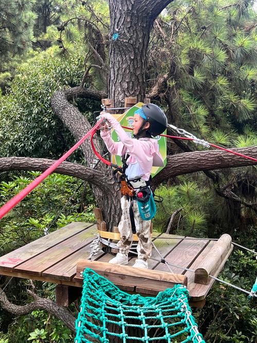 小小探险家在哪里训练好？这些地方最适合孩子探索！