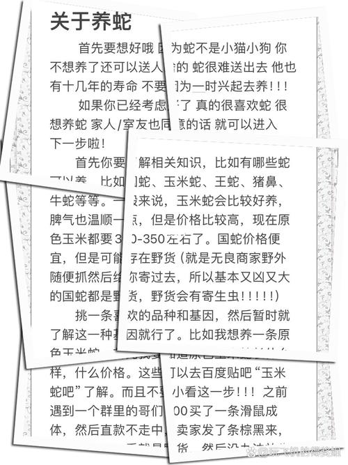 蛇蛇孙倩颖避坑指南：粉丝常见问题大解析！