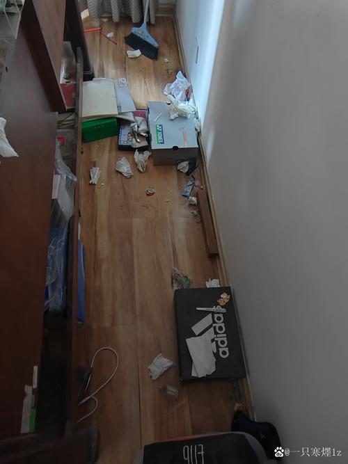 这里布满灰尘原因是什么?(找出问题源头快解决)