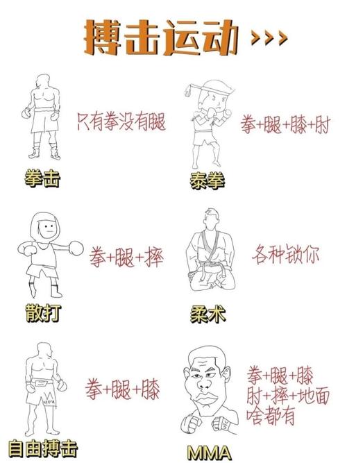 无限制格斗自学教程推荐（免费资源在线学习）