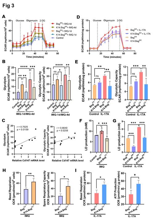 随机团队cd怎么重置？老玩家教你刷新冷却时间