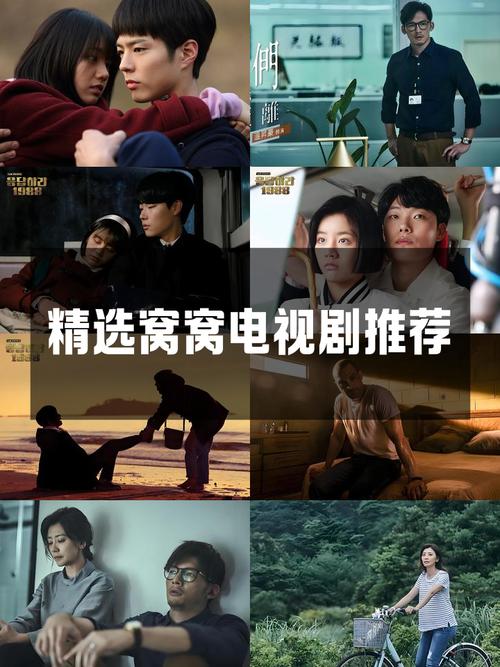 窝窝电视剧怎么看(免费高清观看平台推荐)