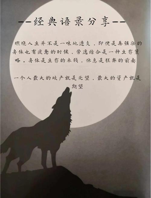 北方的狼族文化内涵是什么(探究其独有的精神内核)