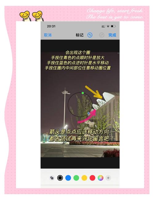 屏幕放大镜怎么使用？5步简单操作教程速成！