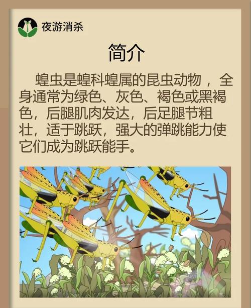 蚱蜢闹翻天是什么情况？惊人全过程曝光揭秘