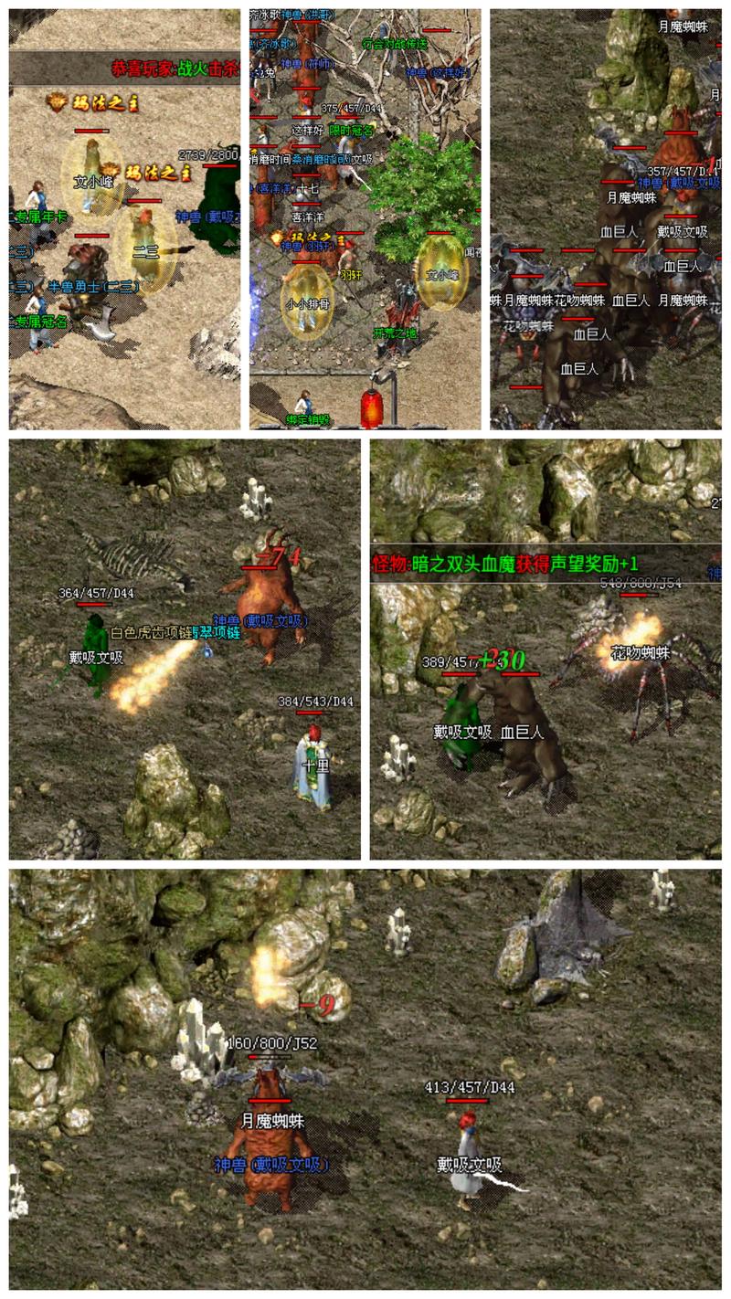 1.76版本是什么？新手必看全面解析特色亮点