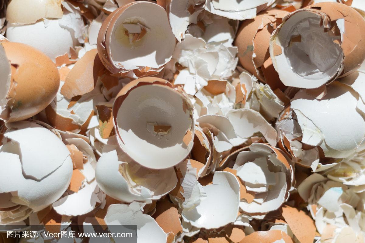 腐化的蛋壳碎片是什么？关联任务物品获取详解！