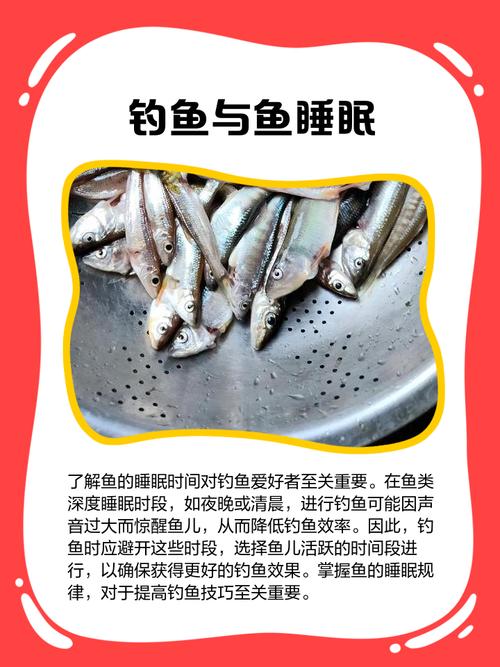 带鱼睡觉的时候怎么不飘走？避开水流小技巧！