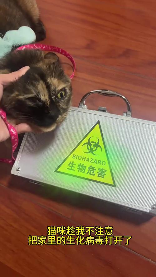 nsa武器库会感染手机吗(3分钟看懂风险)