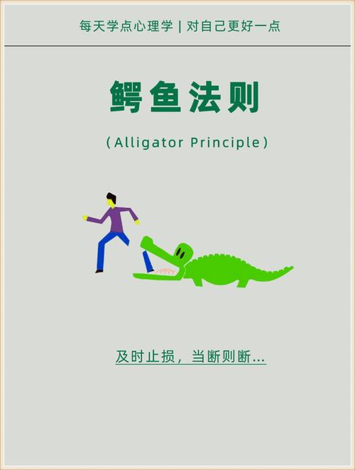 城中的鳄鱼怎么应对好?(5个实用方法保障安全)