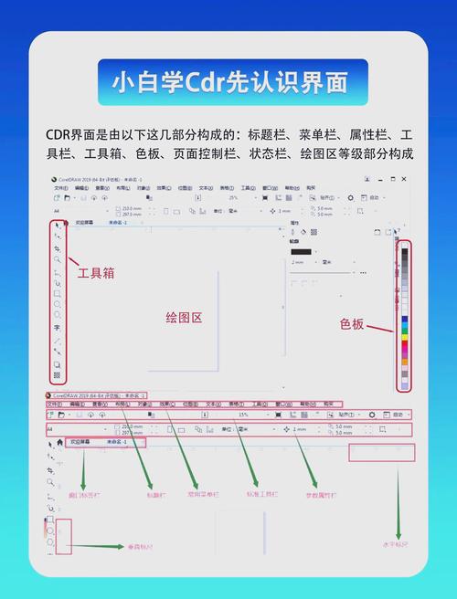 cdr12怎么学？(5个简单步骤新手轻松掌握)