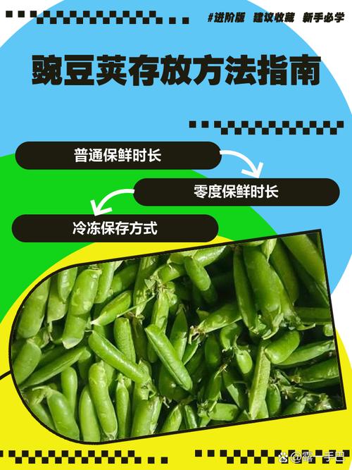 豌豆荚怎么用新手必看(简单五步轻松上手)