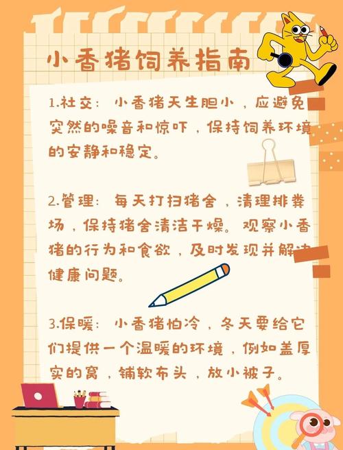 小猪喂养攻略新手爸妈必知的10个育儿常识