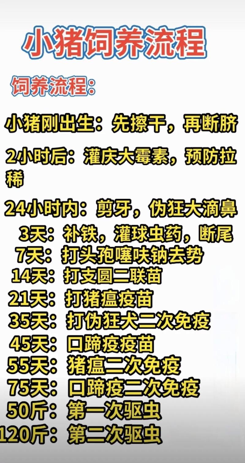 小猪喂养攻略新手爸妈必知的10个育儿常识