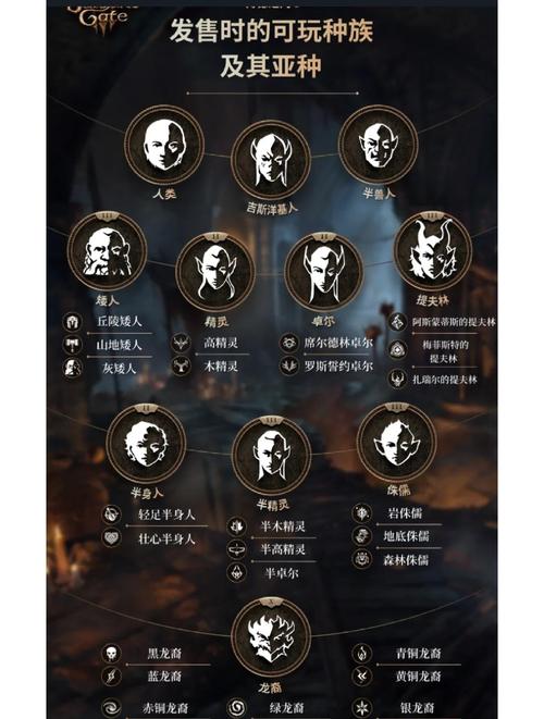 博德之门三部曲怎么玩？新手必看超详细入门指南！