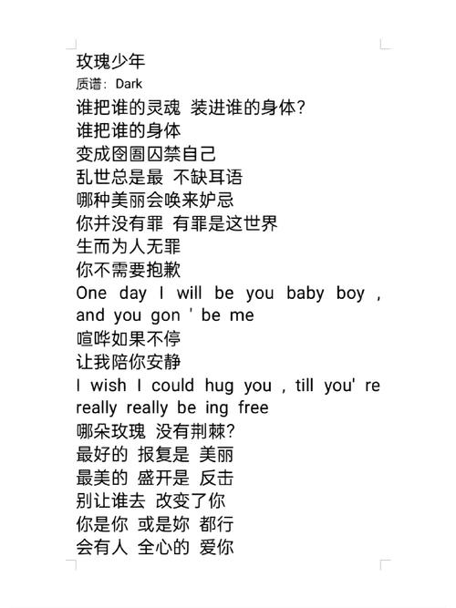 玫瑰少年歌词含义解析 真实故事令人心碎