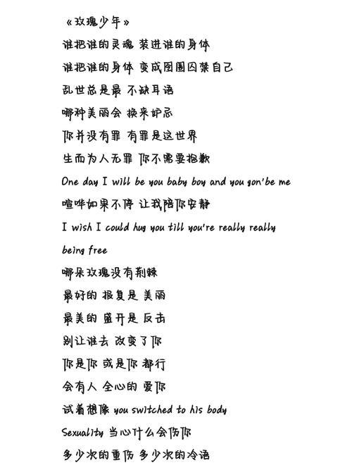 玫瑰少年歌词含义解析 真实故事令人心碎