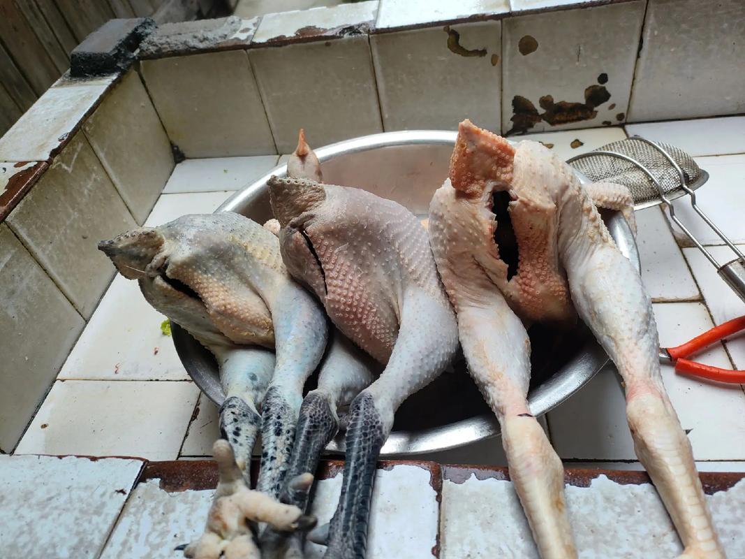 骚鸡是什么意思？3种方法教你正确理解！