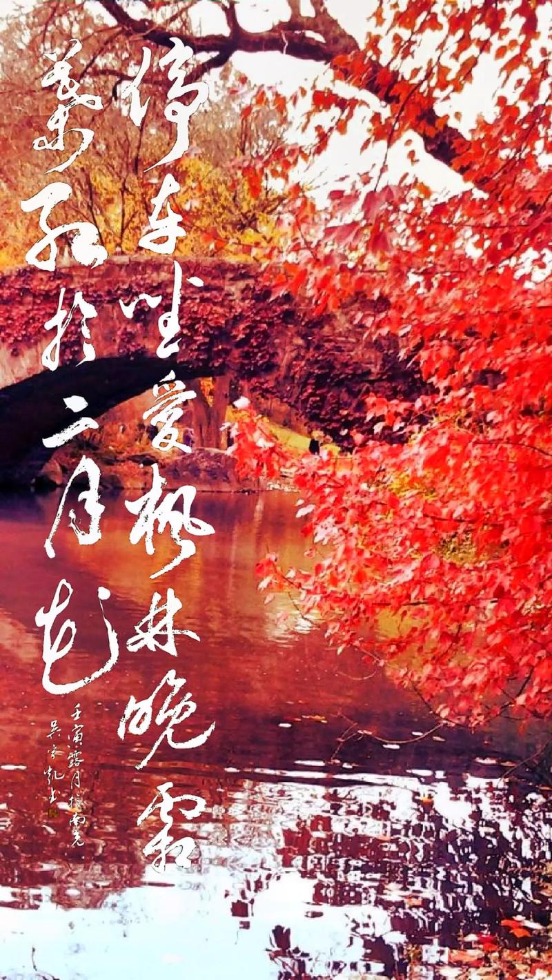 如何欣赏霜叶红于二月花？旅行专家推荐实用路线！