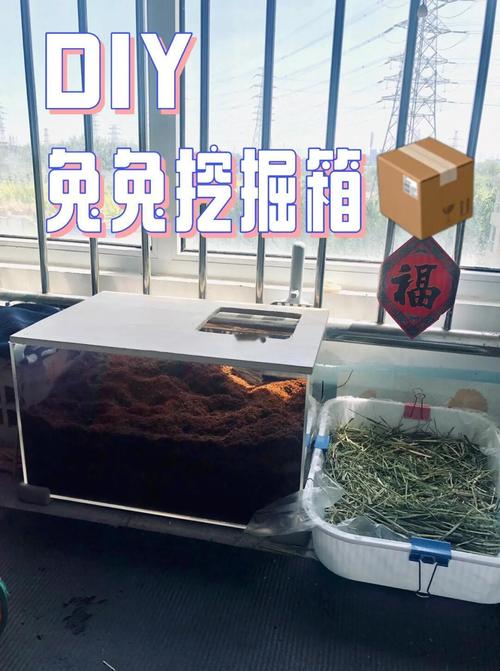 草根站长工具箱能干啥(3分钟学会提升网站排名技巧)