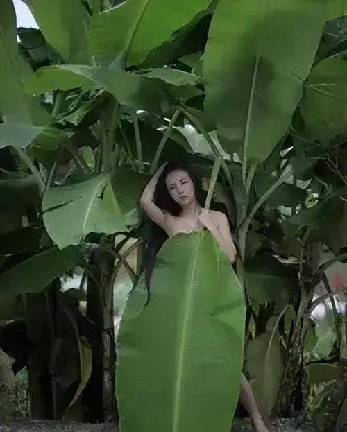 人体模特露露收费贵不贵？真实价格和影响因素解析