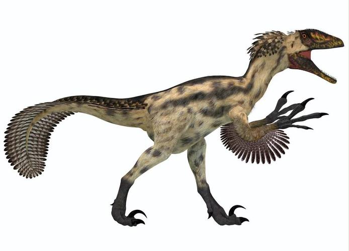 恐角龙怎么抓工具哪个好用选择策略大揭密