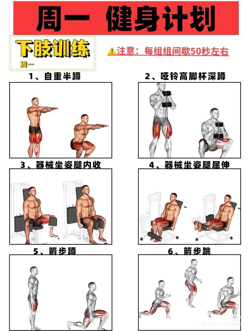 女子健美论坛新手怎么练?掌握这3点速成法很有效。