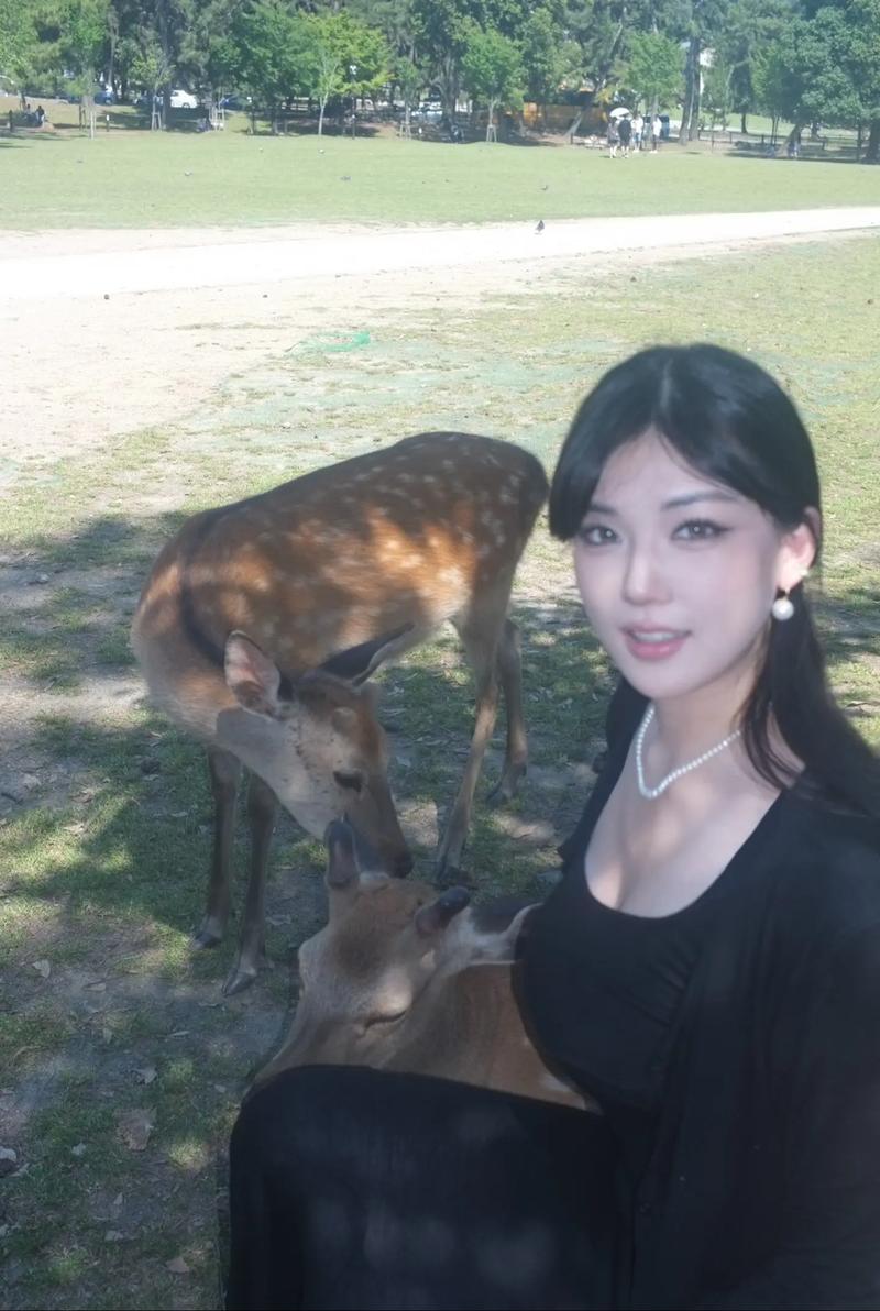 小鹿lula效果翻倍秘诀？分享五个实用方法！