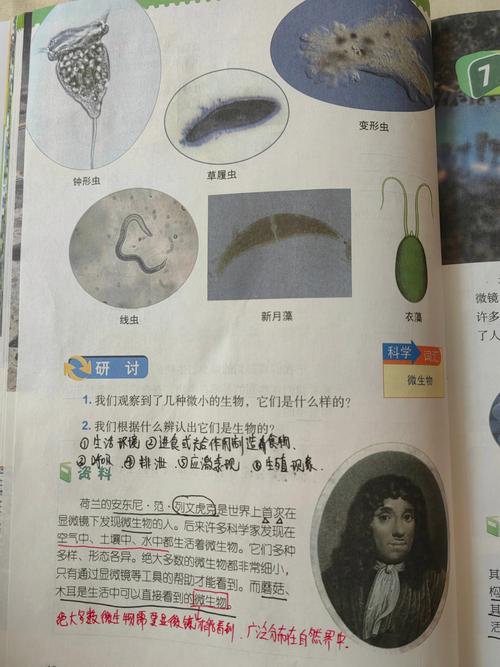 最小的生物怎么观察?显微镜使用入门指南!