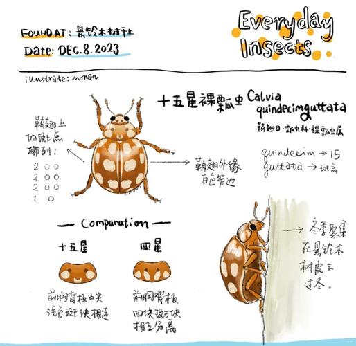 最小的生物怎么观察?显微镜使用入门指南!