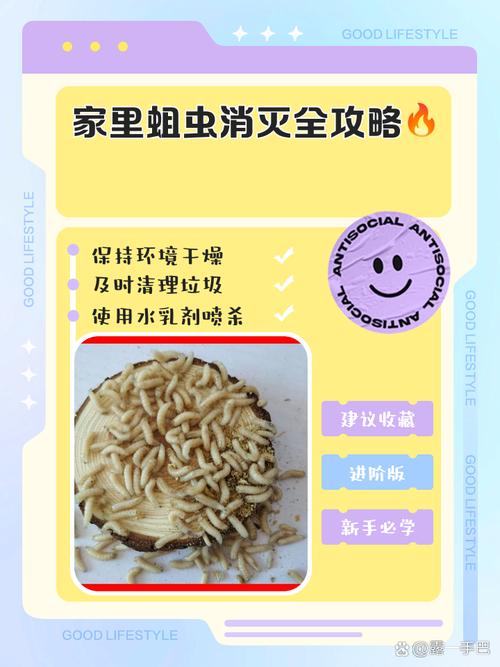 如何精准找出贪吃的蛆虫(实用指南新手也能迅速上手)