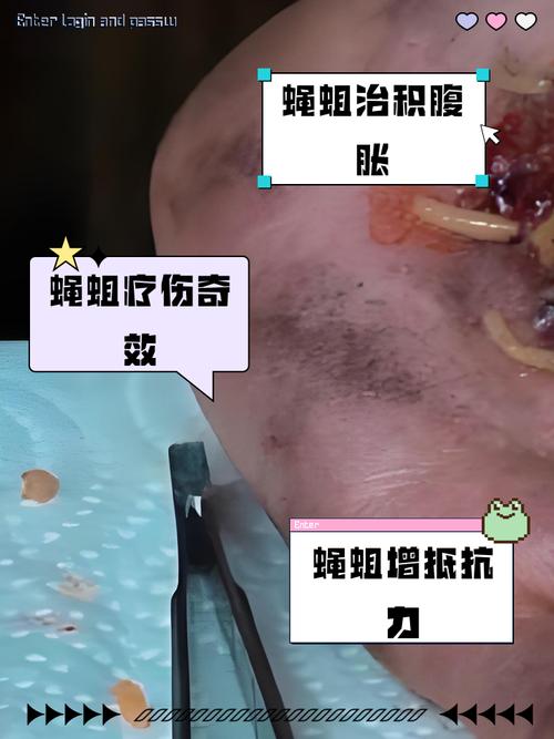 如何精准找出贪吃的蛆虫(实用指南新手也能迅速上手)