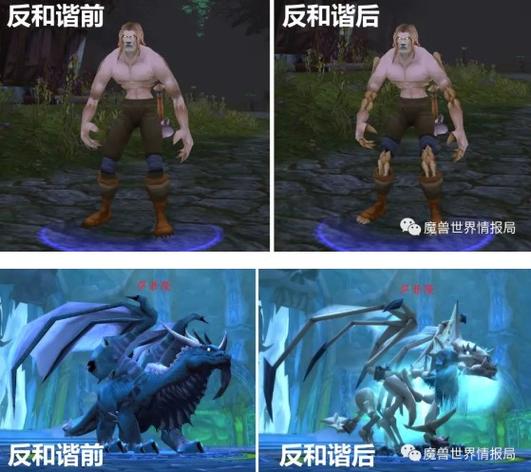 魔兽世界反和谐怎么做（老玩家亲测有效方法分享）