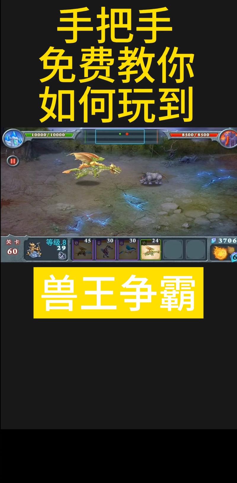 兽王高级打法分享？高手心得提升秘籍！