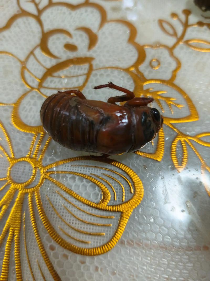 kan kan是什么平台？新人快速入门指南