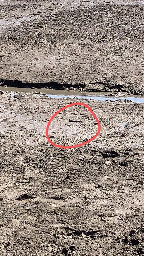 kan kan是什么平台?新人快速入门指南