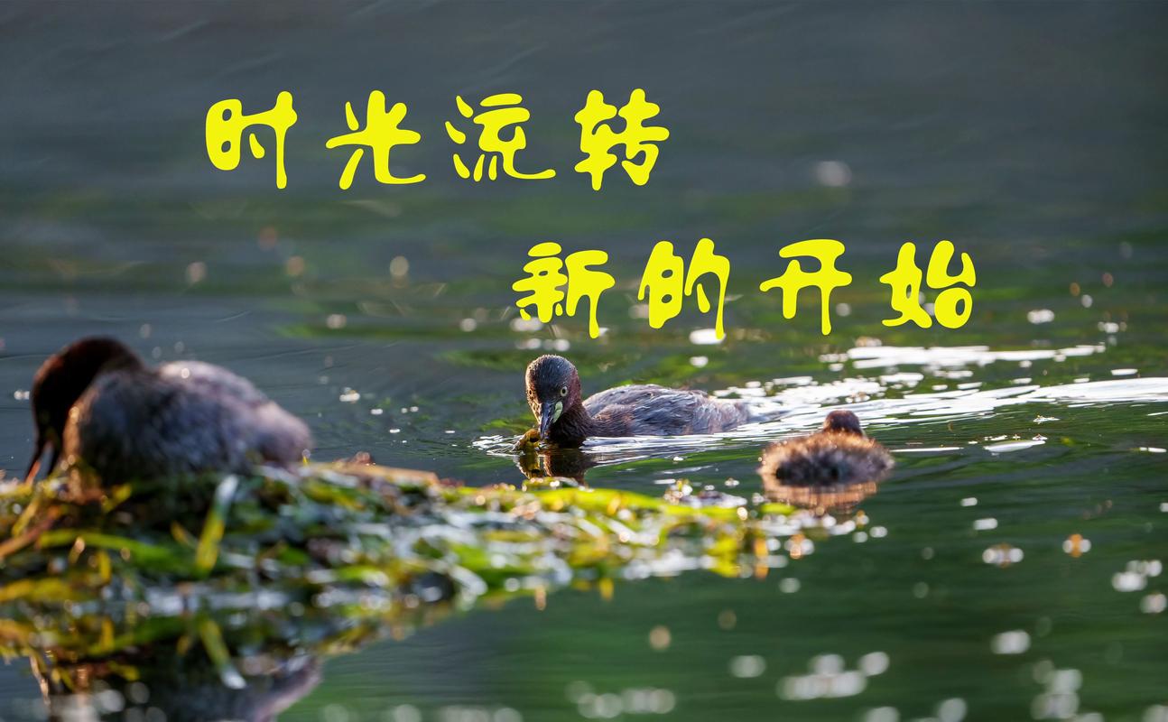 新开始是什么意思?全面解析这个新起点的深层含义与价值!