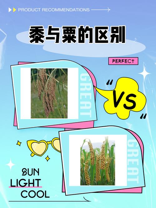 粟是什么农作物常见问题解答(专家教你小知识)