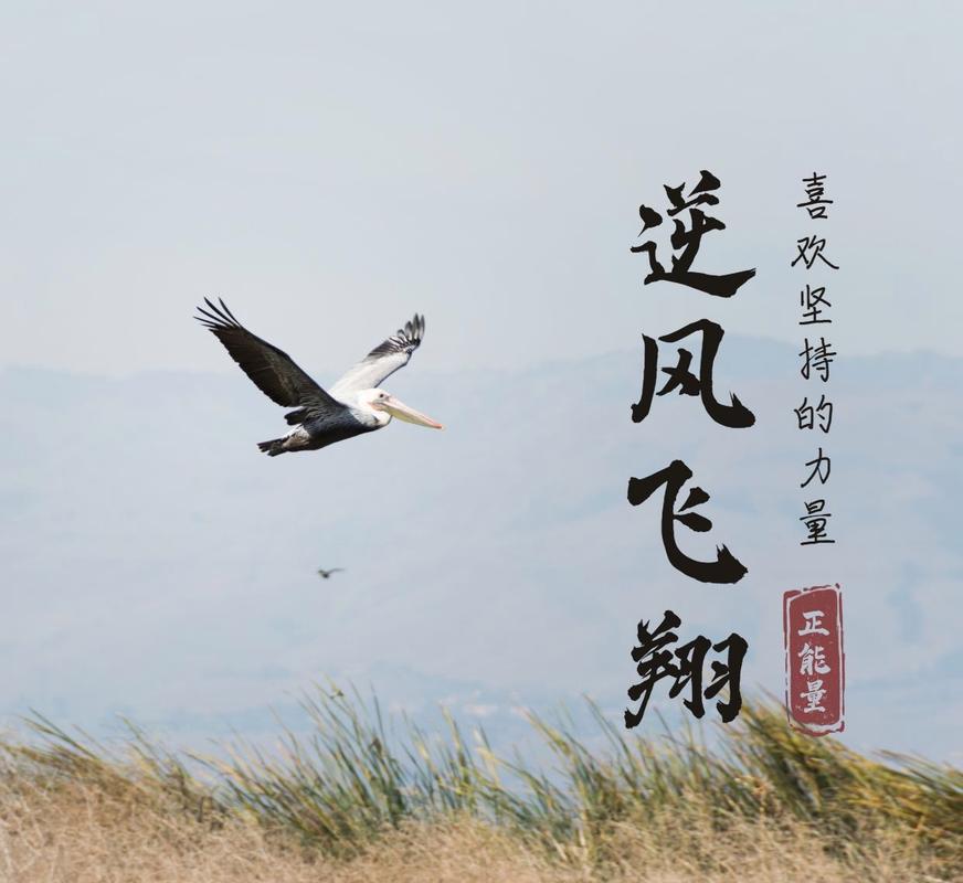 风向对飞行很重要:飞机起飞降落逆风顺风到底怎么选才对